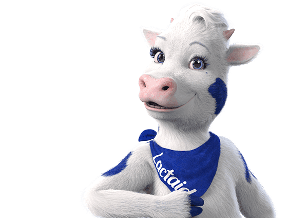 Female Lactaid cow with blue eyes, blue spots, and blue branded bandana