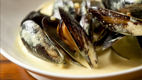Mussels With White Sauce Made With Lactaid®