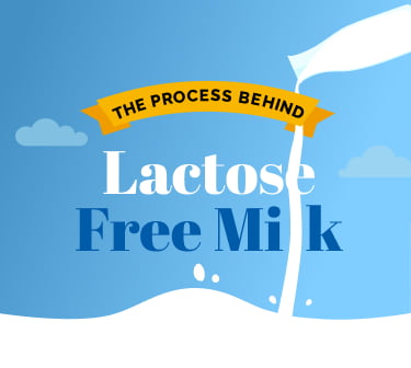 The process behind Lactose Free Milk.